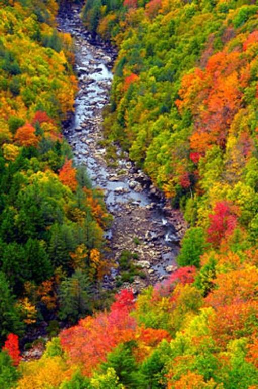 Blackwater Falls State Park Lodge 데이비스 외부 사진